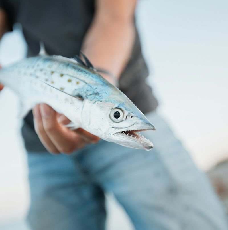 Hands holding a freshly caught fish